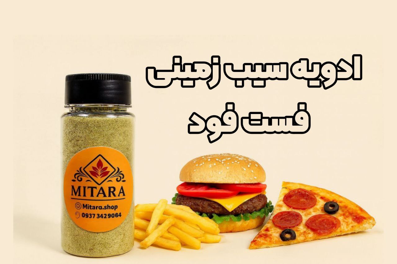 خرید آنلاین ادویه های فست فود